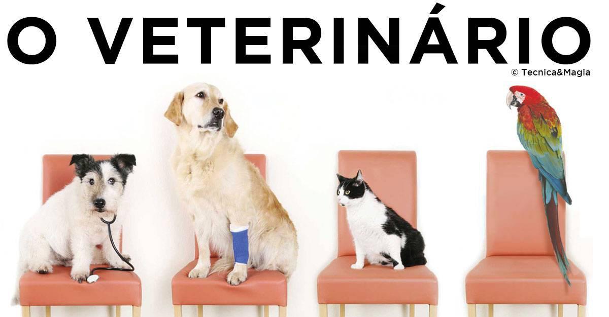 O VETERINÁRIO