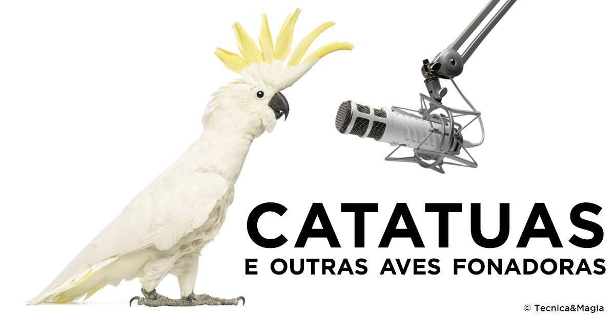 CATATUAS E OUTRAS AVES FONADORAS