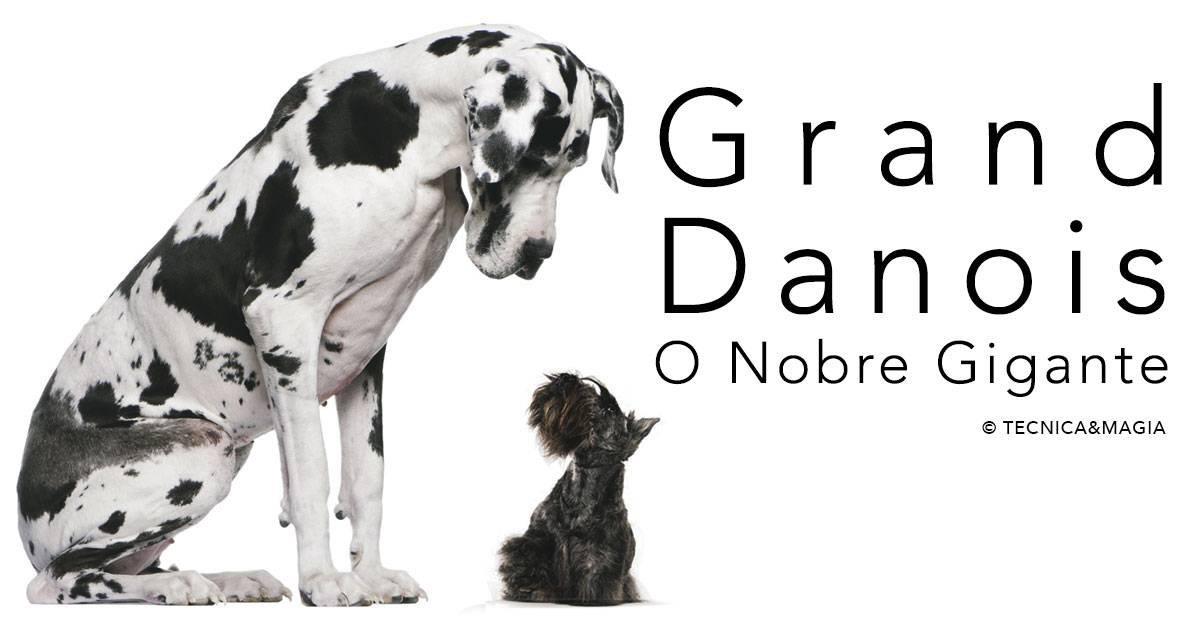 GRAND DANOIS