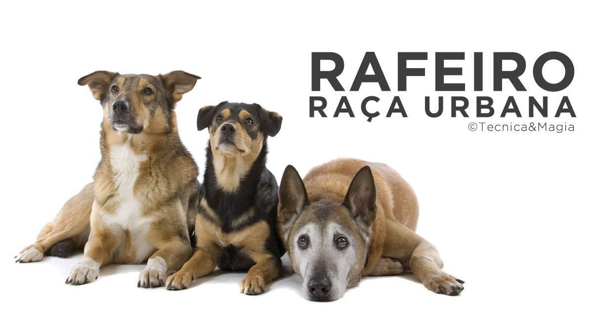 RAFEIRO, RAÇA URBANA