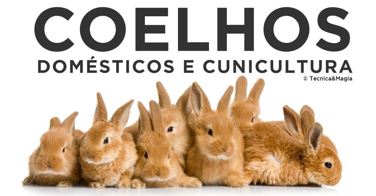 COELHOS, DOMÉSTICOS E CUNICULTURA