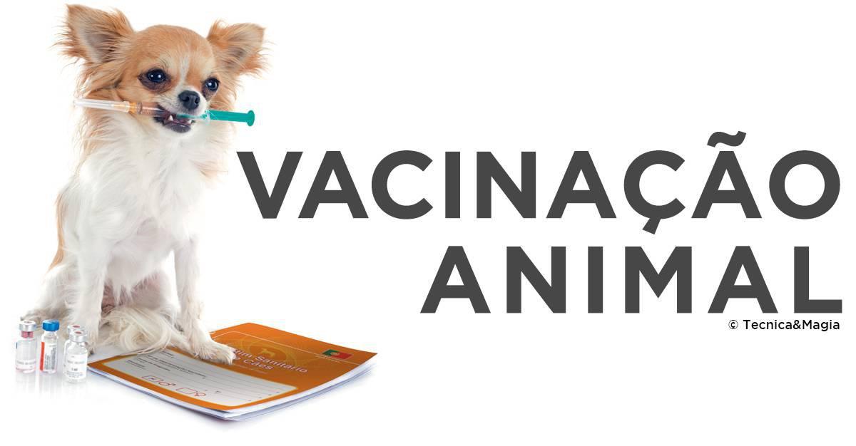 VACINAÇÃO ANIMAL