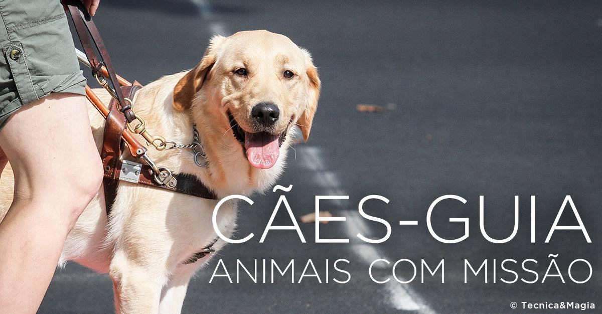 CÃES-GUIA, ANIMAIS COM MISSÃO