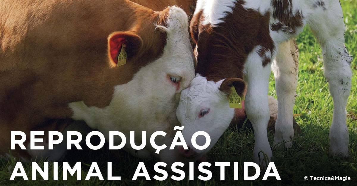 REPRODUÇÃO ANIMAL ASSISTIDA