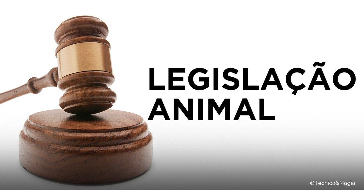 LEGISLAÇÃO ANIMAL