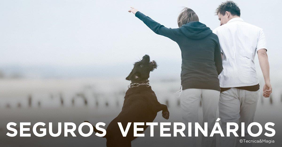 SEGUROS VETERINÁRIOS