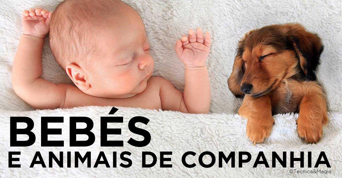 BEBÉS E ANIMAIS DE COMPANHIA