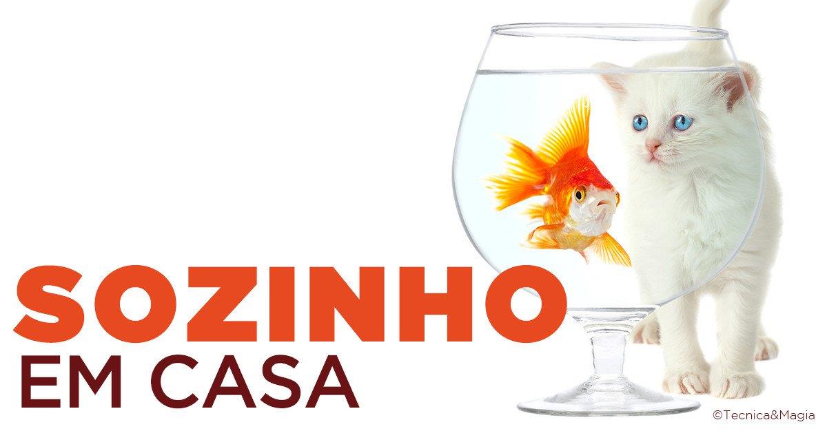 SOZINHO EM CASA