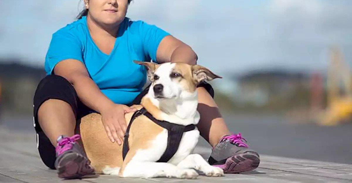 Pessoas obesas têm maior probabilidade de ter cães obesos