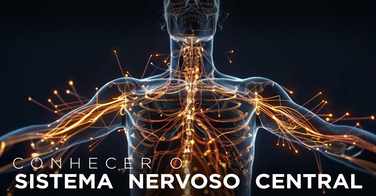 CONHECER O SISTEMA NERVOSO CENTRAL