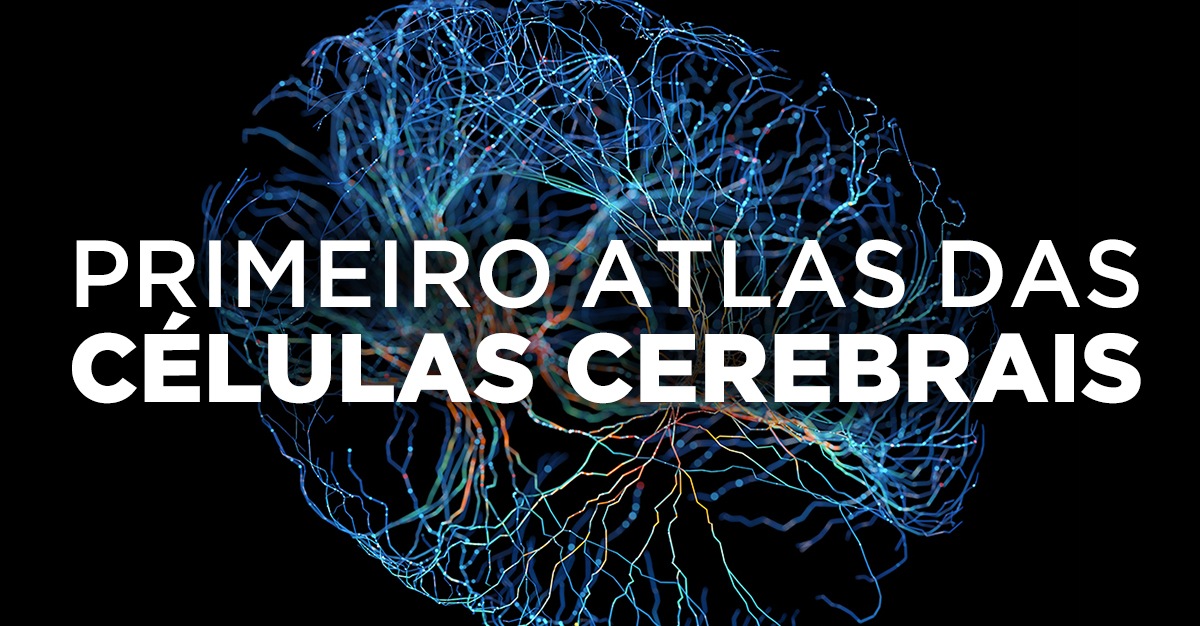 PRIMEIRO ATLAS DAS CÉLULAS CEREBRAIS