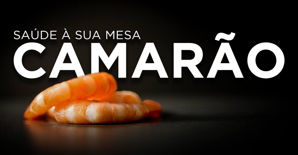 SAÚDE À SUA MESA: CAMARÃO