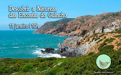 Descobrir a Natureza das Encostas do Guincho