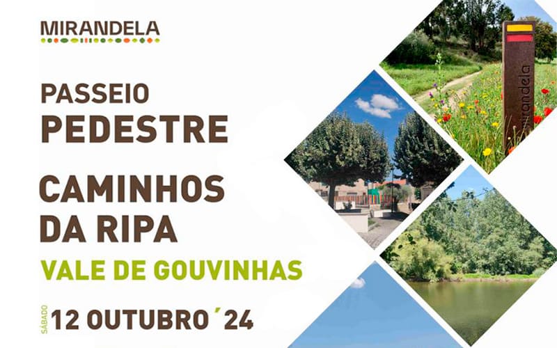 Passeio Pedestre Caminhos da Ripa – Vale de Gouvinhas