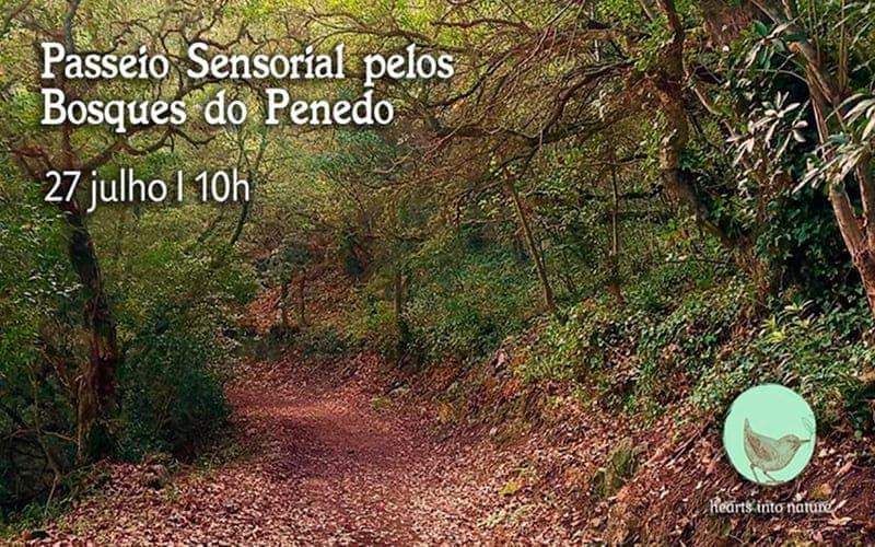 Passeio Sensorial pelos Bosques do Penedo