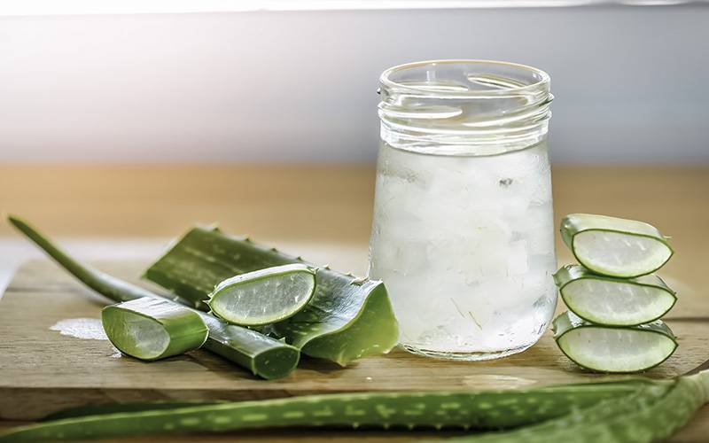 Uso de Aloe Vera em excesso associado a oito efeitos colaterais