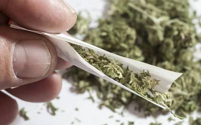 Consumidores de cannabis necessitam de mais anestesia