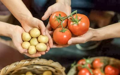 Alimentos com nicotina podem ser aliados para deixar de fumar