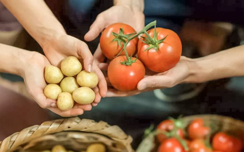 Notícias - Alimentos com nicotina podem ser aliados para deixar de fumar