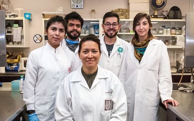 Desenvolvida técnica que elimina 100% do vírus HPV