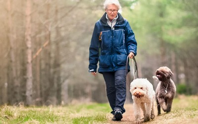 Passear os cães melhora mobilidade e reduz quedas em idosos