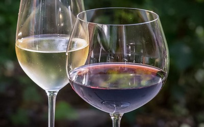 Estudo comparou risco de cancro associado a vinho tinto e branco